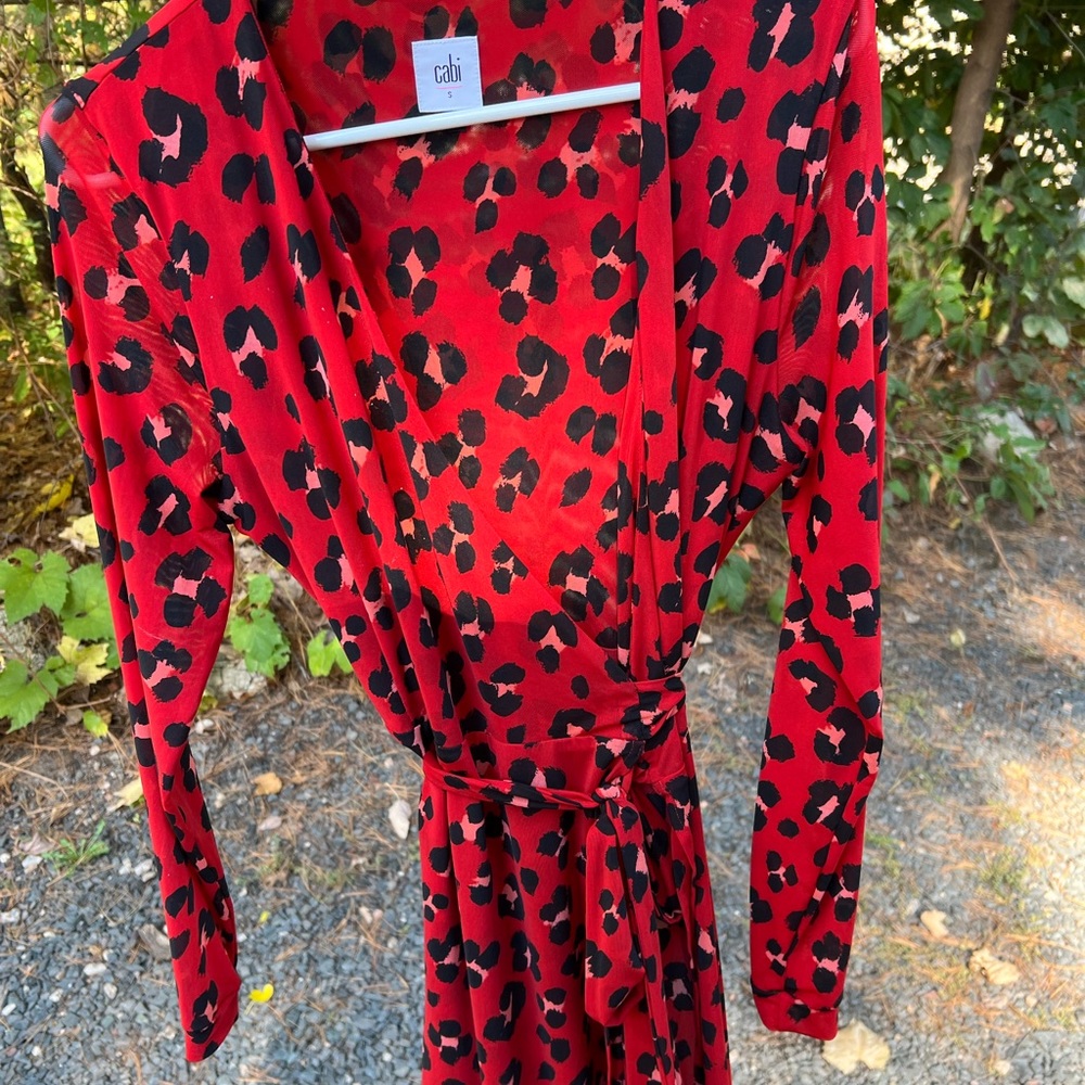 Cabi Wrap Dress/Kimono